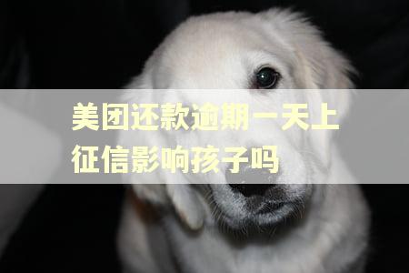 美团还款逾期一天上征信影响孩子吗