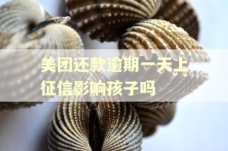 美团还款逾期一天上征信影响孩子吗