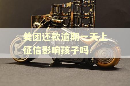 美团还款逾期一天上征信影响孩子吗