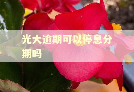 光大逾期可以停息分期吗