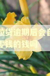 微粒贷逾期后会自动扣零钱的钱吗