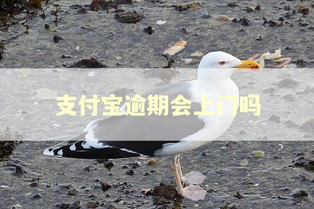 支付宝逾期会上门吗