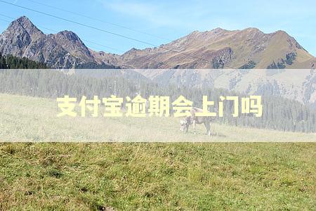 支付宝逾期会上门吗