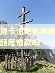 信用卡逾期影响微粒贷额度借款吗