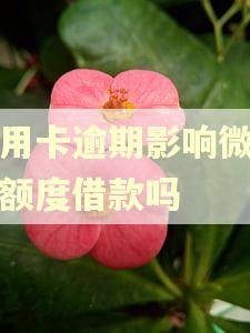 信用卡逾期影响微粒贷额度借款吗