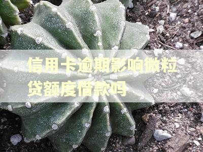 信用卡逾期影响微粒贷额度借款吗 信用卡逾期影响微粒贷额度借款吗