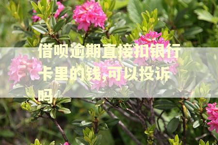 借呗逾期直接扣银行卡里的钱,可以投诉吗