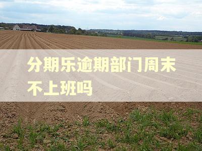 分期乐逾期部门周末不上班吗