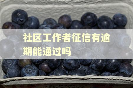 社区工作者征信有逾期能通过吗
