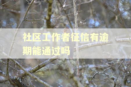 社区工作者征信有逾期能通过吗 社区工作者征信有逾期能通过吗
