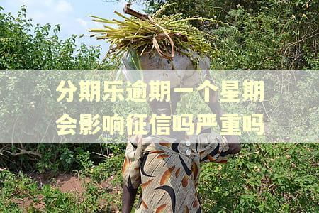 分期乐逾期一个星期会影响征信吗严重吗