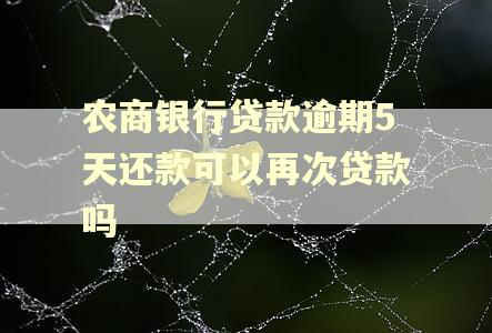 农商银行贷款逾期5天还款可以再次贷款吗