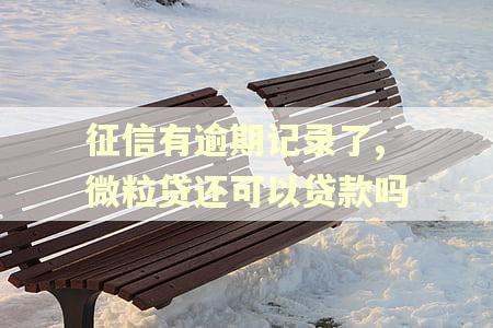 征信有逾期记录了,微粒贷还可以贷款吗