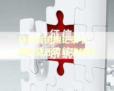 征信有逾期记录了,微粒贷还可以贷款吗