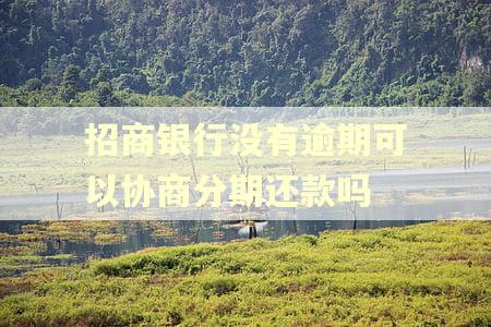招商银行没有逾期可以协商分期还款吗