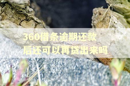 360借条逾期还款后还可以再贷出来吗