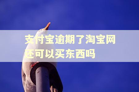 支付宝逾期了淘宝网还可以买东西吗