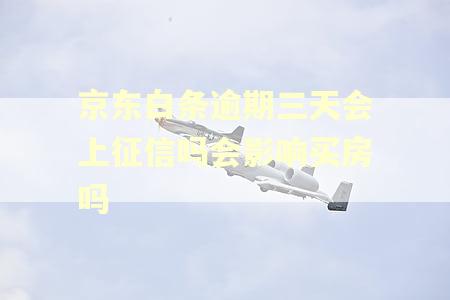 京东白条逾期三天会上征信吗会影响买房吗