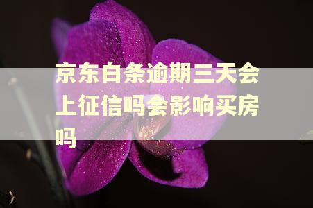 京东白条逾期三天会上征信吗会影响买房吗