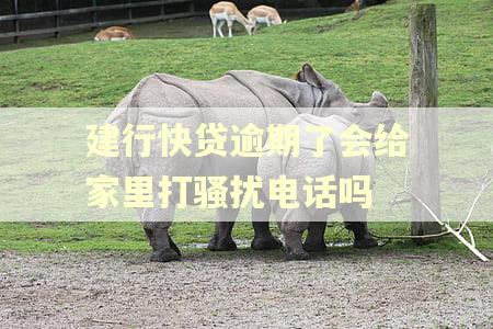 建行快贷逾期了会给家里打骚扰电话吗