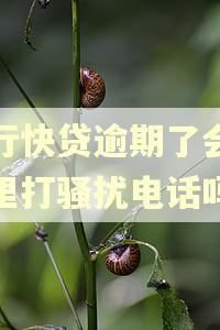 建行快贷逾期了会给家里打骚扰电话吗