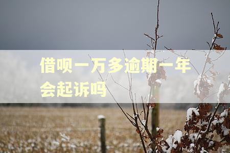 借呗一万多逾期一年会起诉吗