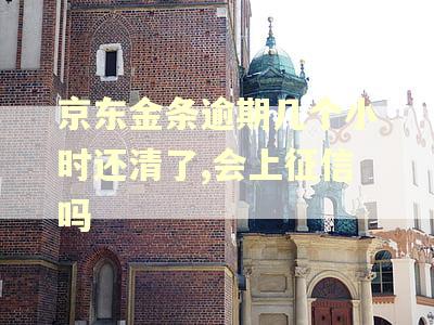 京东金条逾期几个小时还清了,会上征信吗