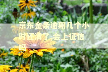 京东金条逾期几个小时还清了,会上征信吗