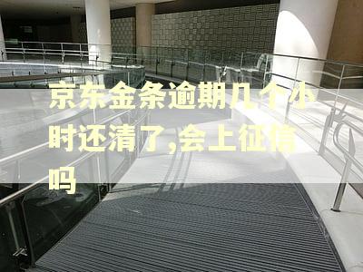 京东金条逾期几个小时还清了,会上征信吗 京东金条逾期几个小时还清了,会上征信吗