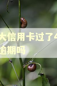 光大信用卡过了4天算逾期吗