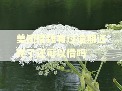美团借钱有过逾期还完了还可以借吗