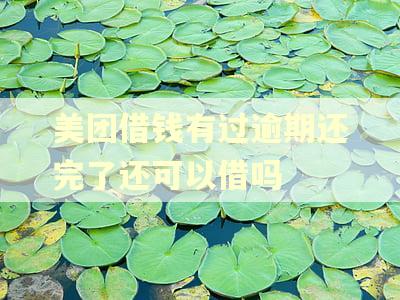 美团借钱有过逾期还完了还可以借吗