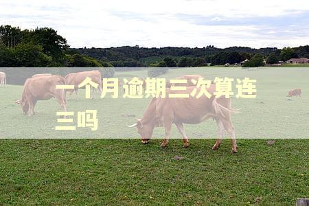 一个月逾期三次算连三吗