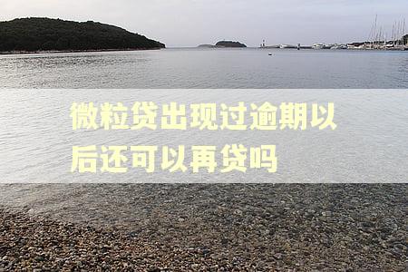 微粒贷出现过逾期以后还可以再贷吗