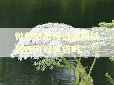 微粒贷出现过逾期以后还可以再贷吗