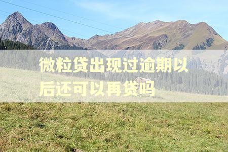 微粒贷出现过逾期以后还可以再贷吗
