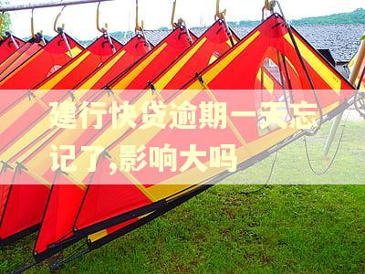 建行快贷逾期一天忘记了,影响大吗