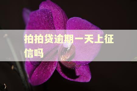 拍拍贷逾期一天上征信吗