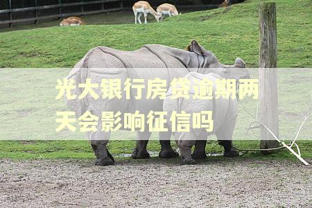 光大银行房贷逾期两天会影响征信吗