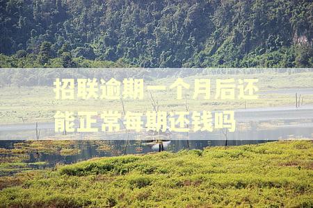 招联逾期一个月后还能正常每期还钱吗 招联逾期一个月后还能正常每期还钱吗