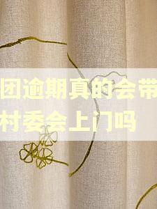 美团逾期真的会带律师村委会上门吗