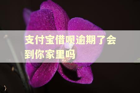 支付宝借呗逾期了会到你家里吗