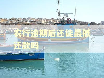 农行逾期后还能最低还款吗 农行逾期后还能最低还款吗