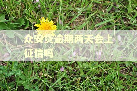 众安贷逾期两天会上征信吗