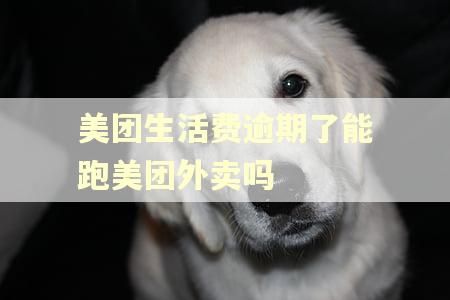 美团生活费逾期了能跑美团外卖吗 美团生活费逾期了能跑美团外卖吗