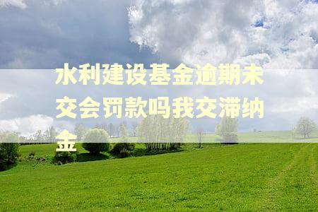 水利建设基金逾期未交会罚款吗我交滞纳金