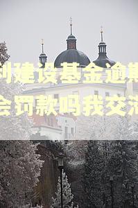 水利建设基金逾期未交会罚款吗我交滞纳金