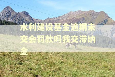 水利建设基金逾期未交会罚款吗我交滞纳金