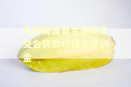 水利建设基金逾期未交会罚款吗我交滞纳金