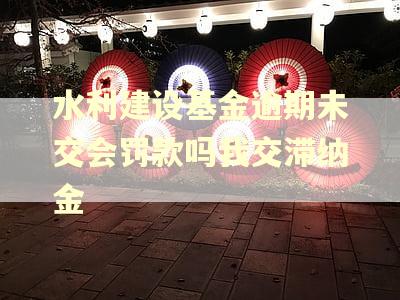 水利建设基金逾期未交会罚款吗我交滞纳金 水利建设基金逾期未交会罚款吗我交滞纳金